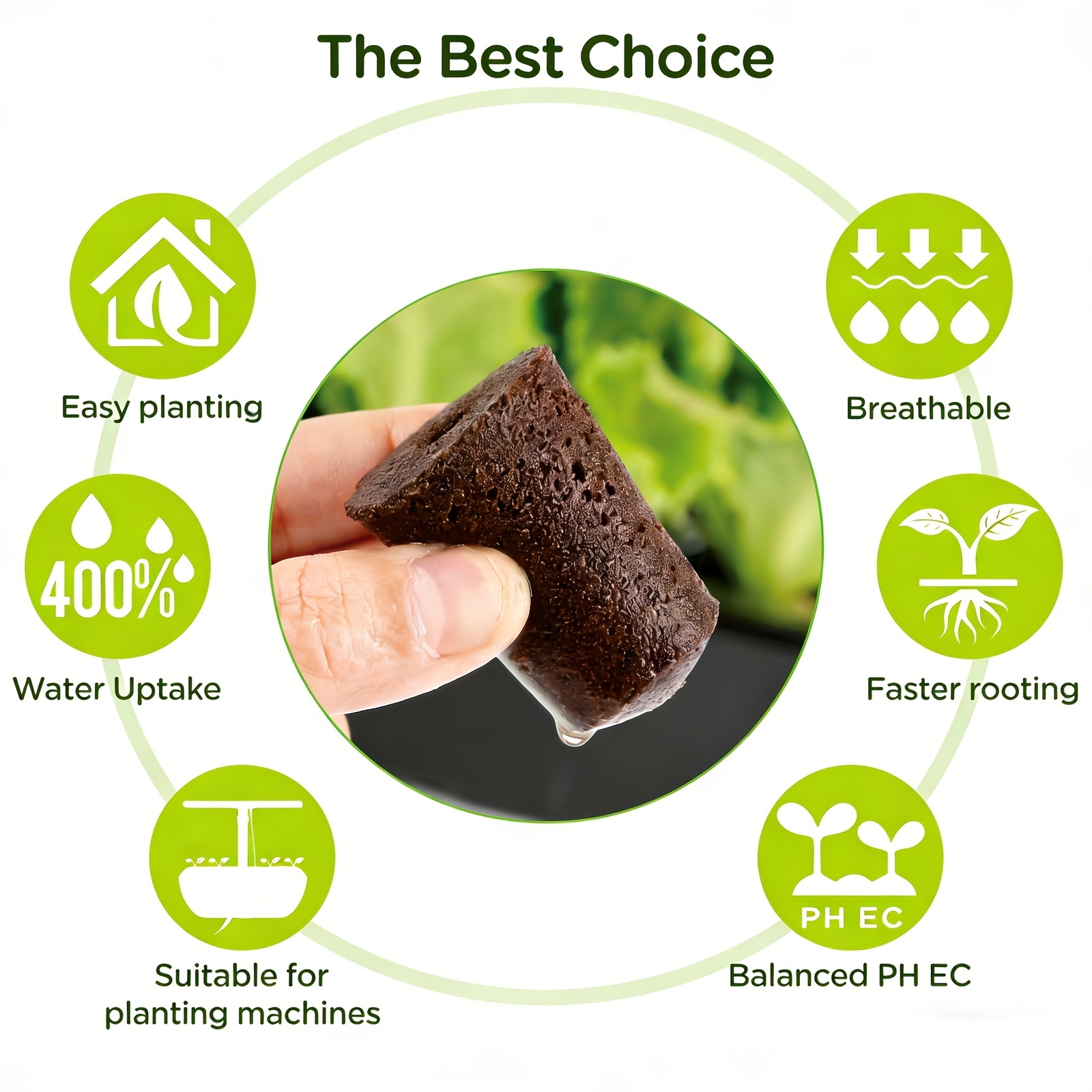 Bloco de Substrato para Sement - Eco Sponge avaliação e preço